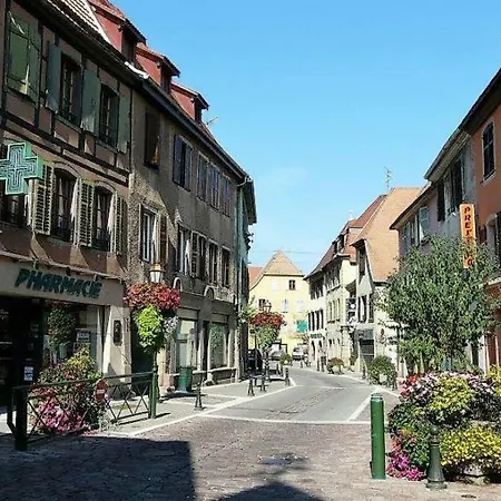 Apartment L'epicea Climatisation Sejour Parfait Soultz-Haut-Rhin